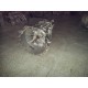 Versnellingsbak Ford Transit 2.2 / 2.4 TDCI 6-Bak
